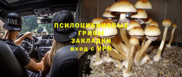 МДПВ Володарск