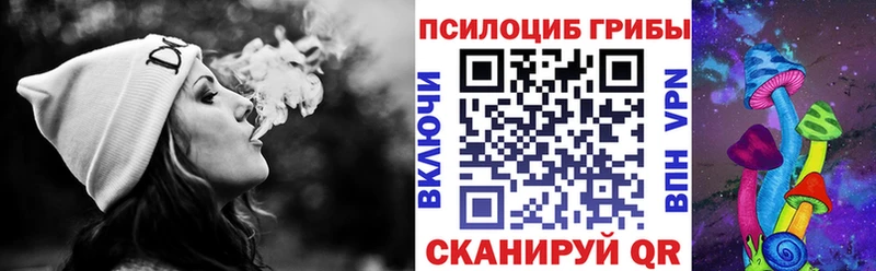 Псилоцибиновые грибы мицелий  где продают наркотики  Пикалёво 