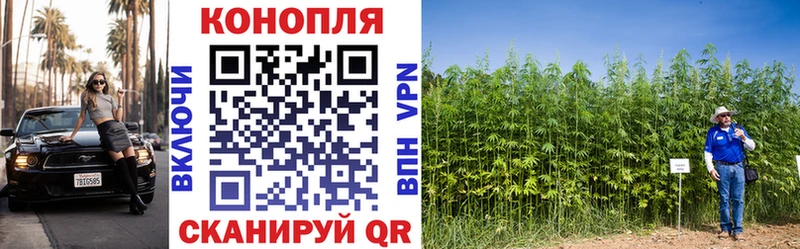 МЕГА онион  Пикалёво  Каннабис семена 